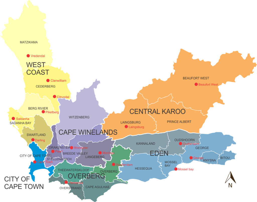 Financial sustainability in Western Cape municipalities during the pandemic